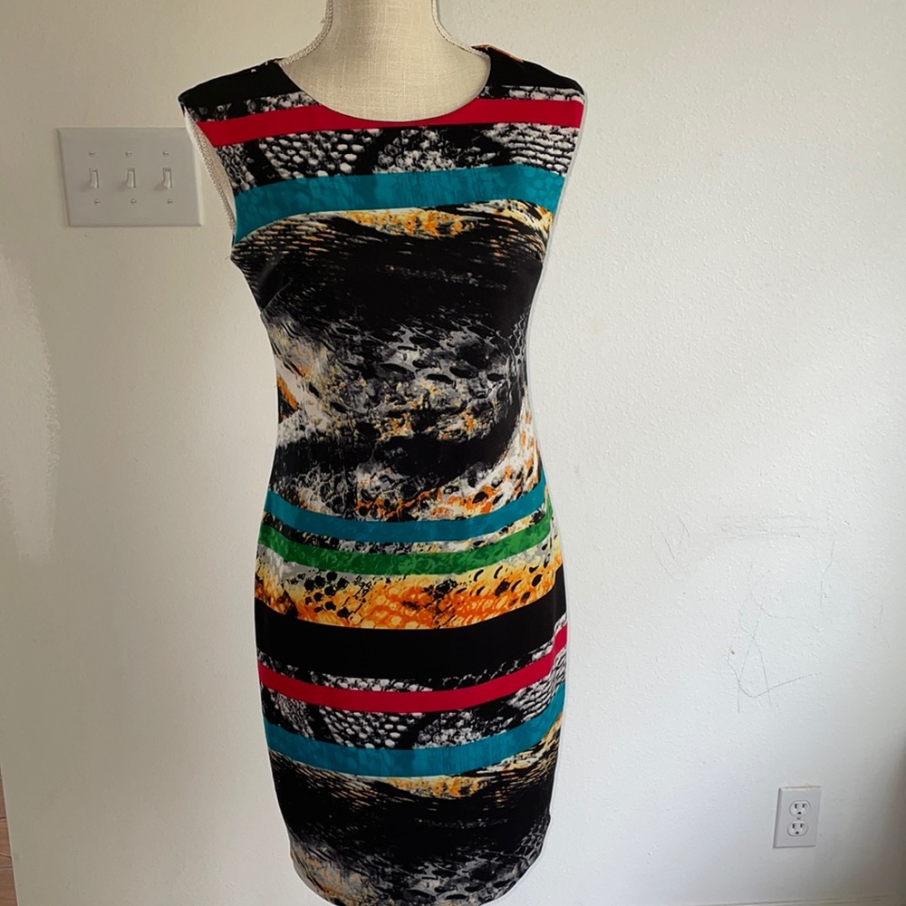 Multi colored fitted dress